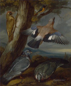 Animal Painting - Francis Barlow Jay pájaro carpintero verde palomas y pájaros colirrojos